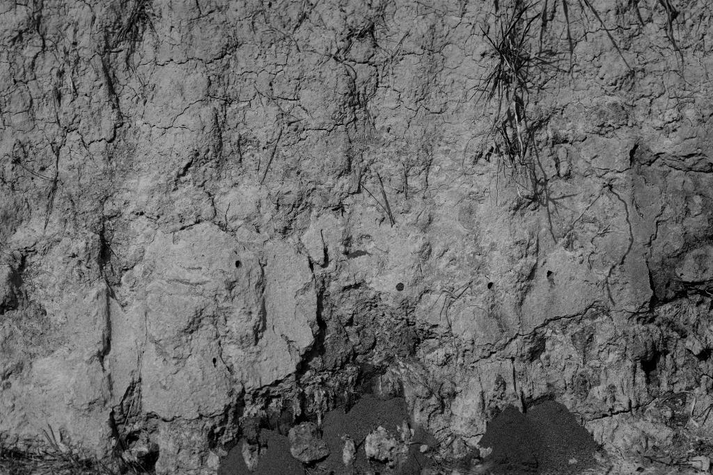 Domaine de Beaurenard - Les Argiles Bleues 2023