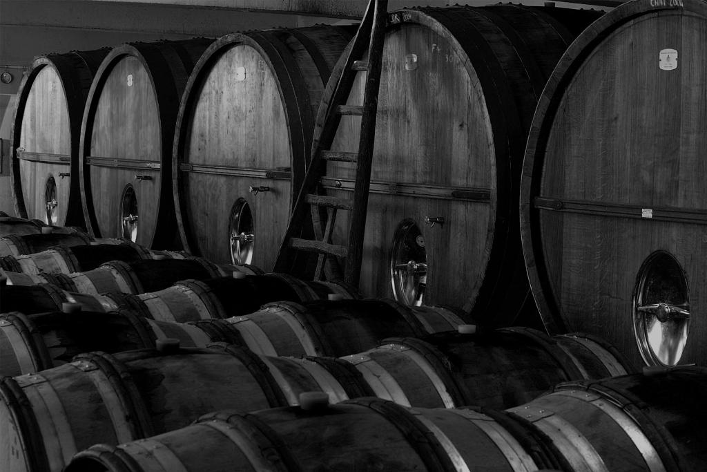 Domaine de Beaurenard -  Rasteau Rouge 2022